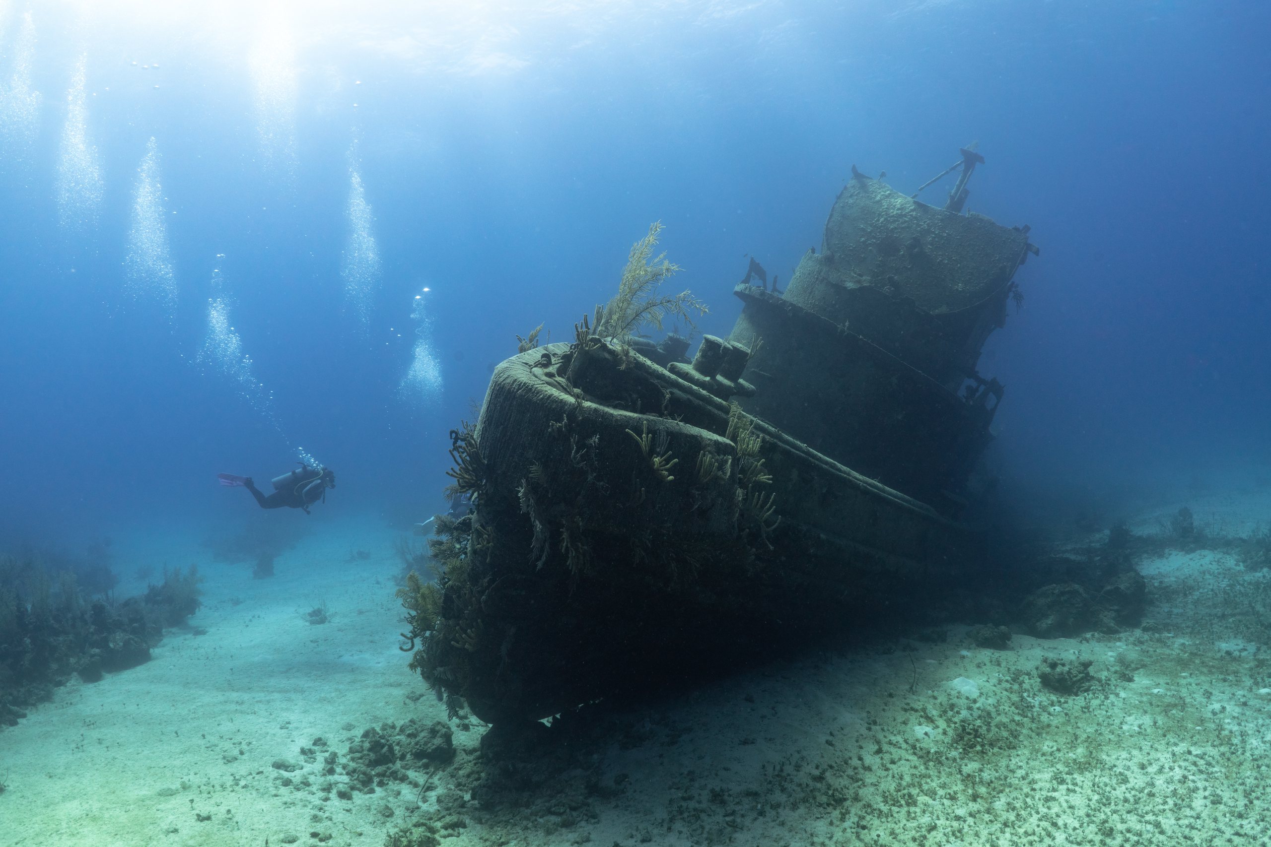 Scuba divers exploring the underwater world