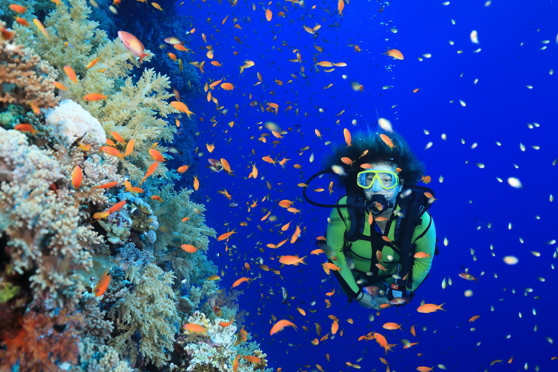 Scuba diver exploring a colourful tropical coral reef
